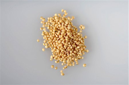 simsearch:659-03532552,k - Amaranth Stock Photo - Premium Royalty-Free, Code: 659-03532037