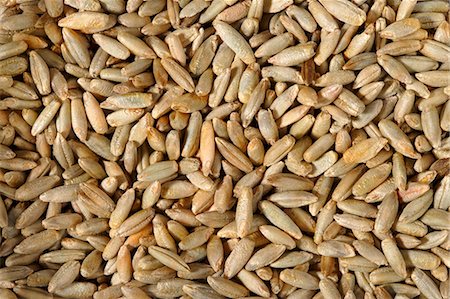 rye (grain) - Grains of rye (full-frame) Stock Photo - Premium Royalty-Free, Code: 659-03532030