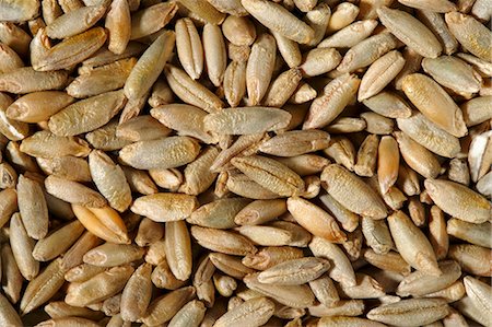 simsearch:659-03523334,k - Grains of rye (full-frame) Stock Photo - Premium Royalty-Free, Code: 659-03532031