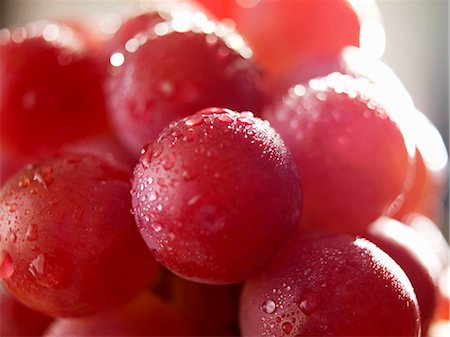 simsearch:659-06186920,k - Raisins rouges avec des gouttes d'eau (gros plan) Photographie de stock - Premium Libres de Droits, Code: 659-03532435