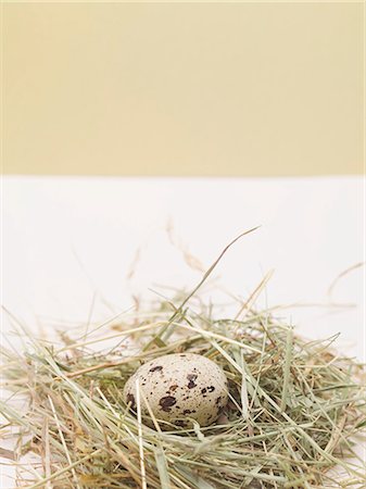 Quail's egg in nest Foto de stock - Sin royalties Premium, Código: 659-03532533