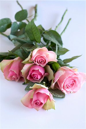 pink decor - Pink roses Stock Photo - Premium Royalty-Free, Code: 659-03532620