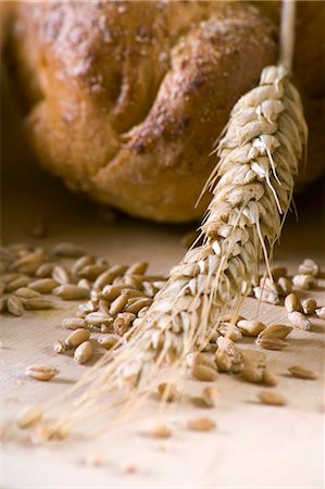 simsearch:659-06186152,k - Ear of wheat, grains of wheat and wheat bread Stock Photo - Premium Royalty-Free, Code: 659-03533193