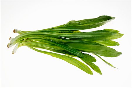 simsearch:659-06903927,k - Culantro (Thai parsley) Foto de stock - Sin royalties Premium, Código: 659-03533580