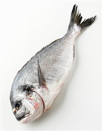 simsearch:659-06671621,k - Fresh sea bream Stock Photo - Premium Royalty-Free, Code: 659-03533694