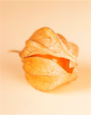 simsearch:659-01844953,k - A Cape gooseberry Stock Photo - Premium Royalty-Free, Code: 659-03533781