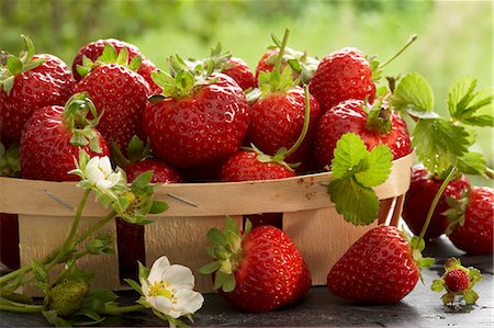 Punnet of freshly picked strawberries Stock Photo - Premium Royalty-Free, Code: 659-03533805