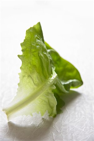 A lettuce leaf Stock Photo - Premium Royalty-Free, Code: 659-03533828