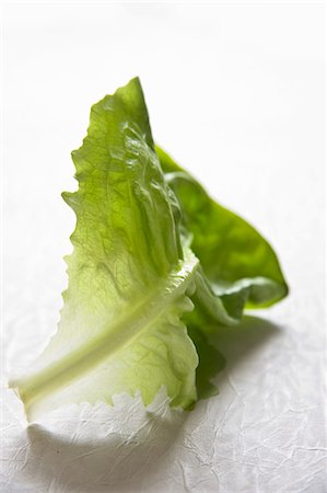 simsearch:659-07609774,k - A lettuce leaf Foto de stock - Sin royalties Premium, Código: 659-03533828