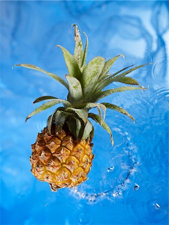 squirt - A baby pineapple in water Foto de stock - Sin royalties Premium, Código: 659-03533836