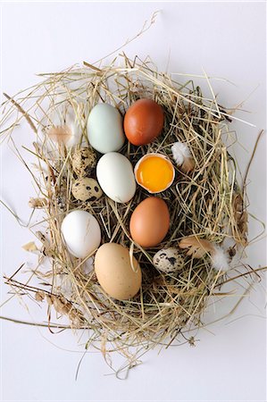 Various types of eggs on hay Stock Photo - Premium Royalty-Free, Code: 659-03533867