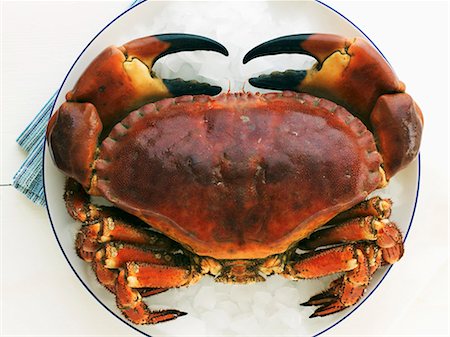 Crab on crushed ice Foto de stock - Sin royalties Premium, Código: 659-03533925
