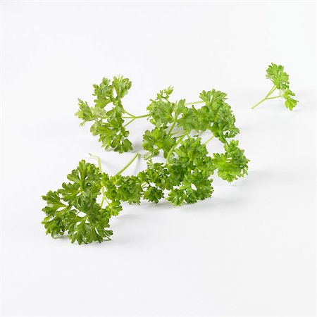 Curly leaf parsley Stock Photo - Premium Royalty-Free, Code: 659-03533988