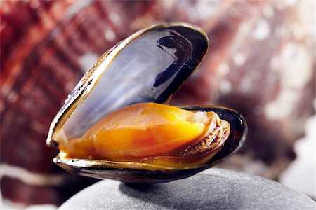 Open mussel Stock Photo - Premium Royalty-Free, Code: 652-05806748