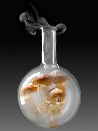 Champignons dans une bouteille en verre essais chimiques Photographie de stock - Premium Libres de Droits, Code: 652-05806822