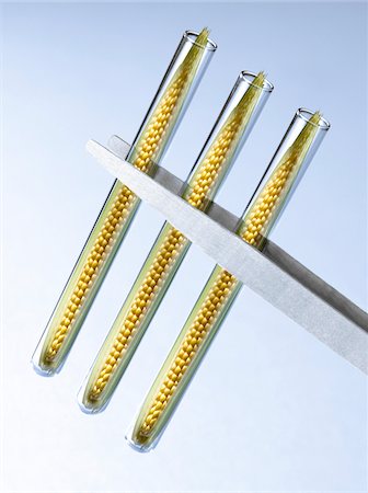 simsearch:652-07655302,k - Corn on the cob in test tubes Foto de stock - Sin royalties Premium, Código: 652-05806839