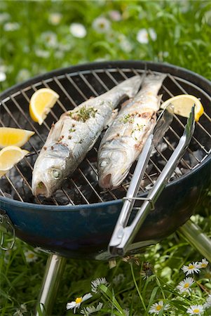 simsearch:825-03627318,k - Grilled bass on the barbecue Stock Photo - Premium Royalty-Free, Code: 652-05806957