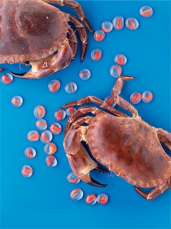 Edible crabs Stock Photo - Premium Royalty-Free, Code: 652-05807540