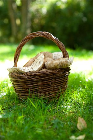 simsearch:652-01670377,k - Basket of earthy tricholometers on the grass Foto de stock - Sin royalties Premium, Código: 652-05808187