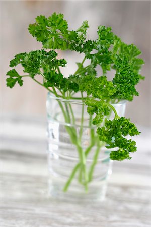 Curly parsley Stock Photo - Premium Royalty-Free, Code: 652-05808354