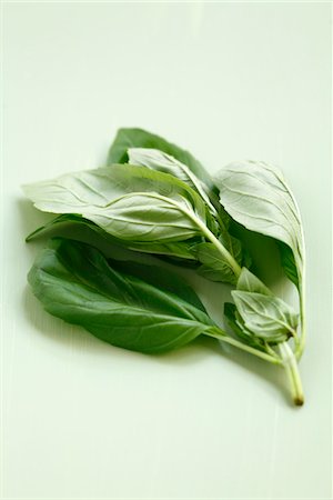 simmering - Fresh basil leaves Stock Photo - Premium Royalty-Free, Code: 652-05808637