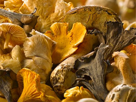 Assortiment de champignons Photographie de stock - Premium Libres de Droits, Code: 652-05808659