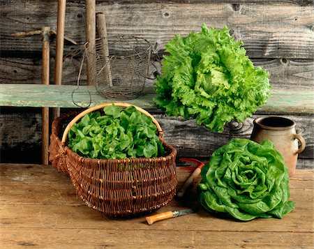 Selection of lettuces in a garden shed Foto de stock - Sin royalties Premium, Código: 652-05808754