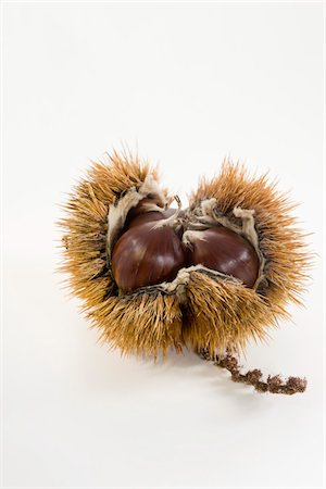 fall fruit silo - Chestnuts Stock Photo - Premium Royalty-Free, Code: 652-05809071