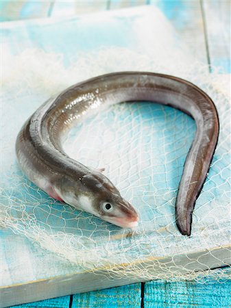 fresh blue fish - Raw conger eel Stock Photo - Premium Royalty-Free, Code: 652-05809170