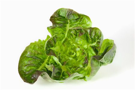 Rougette lettuce Stock Photo - Premium Royalty-Free, Code: 652-05809312