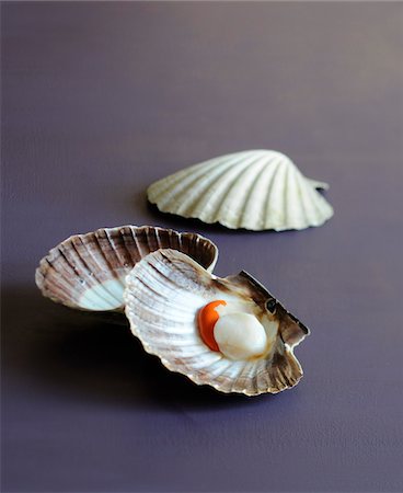 Raw scallops Foto de stock - Sin royalties Premium, Código: 652-05809362