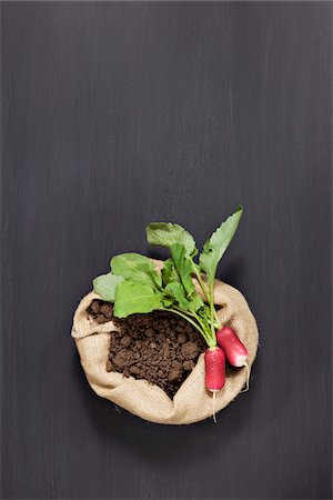 simsearch:652-06819200,k - Bag of organic earth and radishes Stock Photo - Premium Royalty-Free, Code: 652-05809583