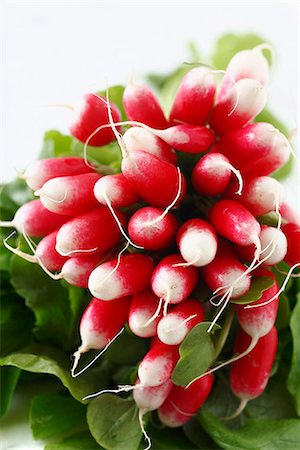 pink radish - Bundle of radishes Foto de stock - Sin royalties Premium, Código: 652-06819015