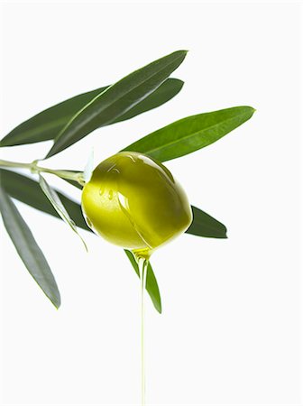 sprig - Olive and oil on an olive branch on a white background Stock Photo - Premium Royalty-Free, Code: 652-06819259