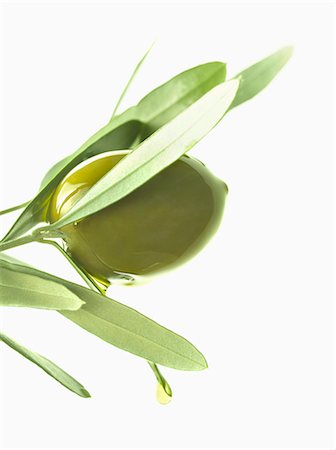 simsearch:652-03805156,k - Olive and oil on an olive branch on a white background Stock Photo - Premium Royalty-Free, Code: 652-06819262