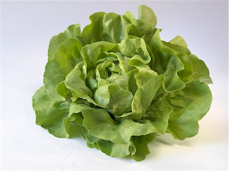 simsearch:652-03801673,k - Whole lettuce Photographie de stock - Premium Libres de Droits, Code: 652-06819314