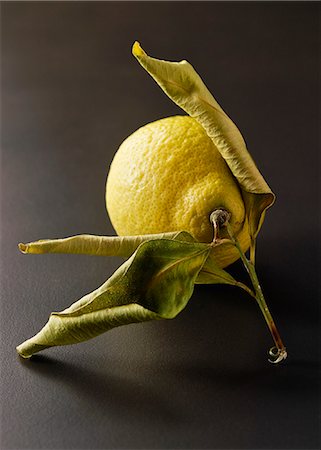 simsearch:652-05807030,k - Whole lemon with leaves Foto de stock - Sin royalties Premium, Código: 652-07655221
