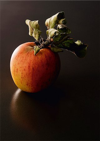 simsearch:652-05808365,k - Reinette apple with leaves Foto de stock - Royalty Free Premium, Número: 652-07655223