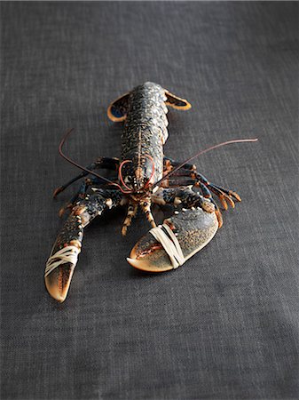 simsearch:652-07656398,k - Raw lobster Photographie de stock - Premium Libres de Droits, Code: 652-07655371