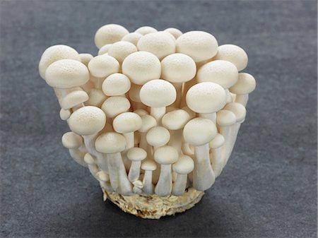 simsearch:652-07656398,k - White Shimeji mushrooms Photographie de stock - Premium Libres de Droits, Code: 652-07655384