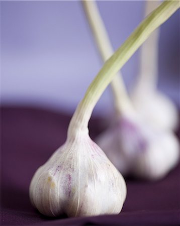 Heads of garlic Foto de stock - Sin royalties Premium, Código: 652-07655962