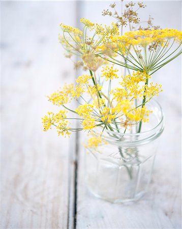 pot herb - Flowering rush Stock Photo - Premium Royalty-Free, Code: 652-07655975