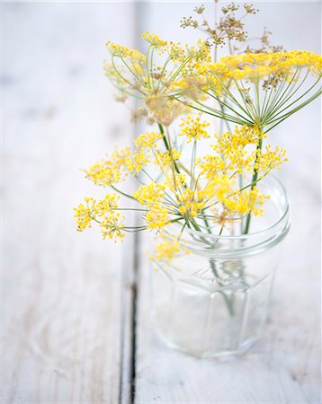 dill - Flowering rush Foto de stock - Sin royalties Premium, Código: 652-07655975