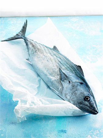 fish - Tuna fish Photographie de stock - Premium Libres de Droits, Code: 652-07656075