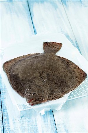 Turbot Stock Photo - Premium Royalty-Free, Code: 652-07656077