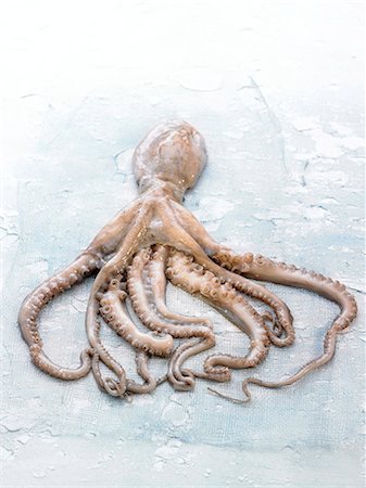 Rock octopus Stockbilder - Premium RF Lizenzfrei, Bildnummer: 652-07656087