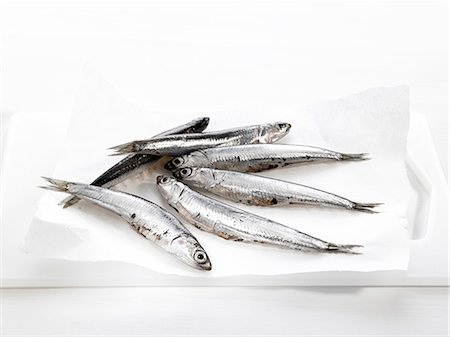 peixe - Raw anchovies Foto de stock - Royalty Free Premium, Número: 652-07656172