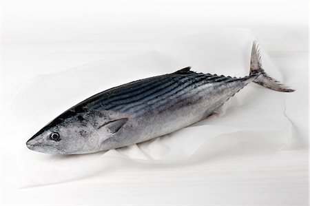 Whole raw tuna Photographie de stock - Premium Libres de Droits, Code: 652-07656187