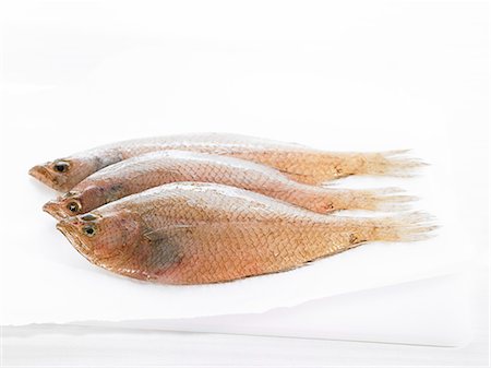 flounder - Raw flounders Photographie de stock - Premium Libres de Droits, Code: 652-07656181