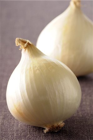 White onions from The Cévennes Foto de stock - Royalty Free Premium, Número: 652-07656318